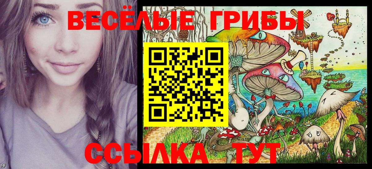 Псилоцибиновые грибы GOLDEN TEACHER Самара